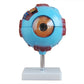 Modelo del ojo